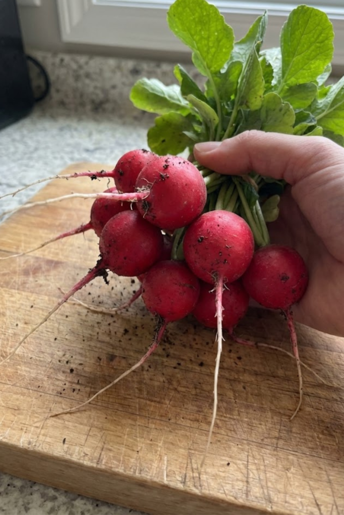 The Best Garlic Butter Roasted Radishes with Sea Salt (2026 Easy Recipe) 2 Article Image Size 2026 02 07T135751.497